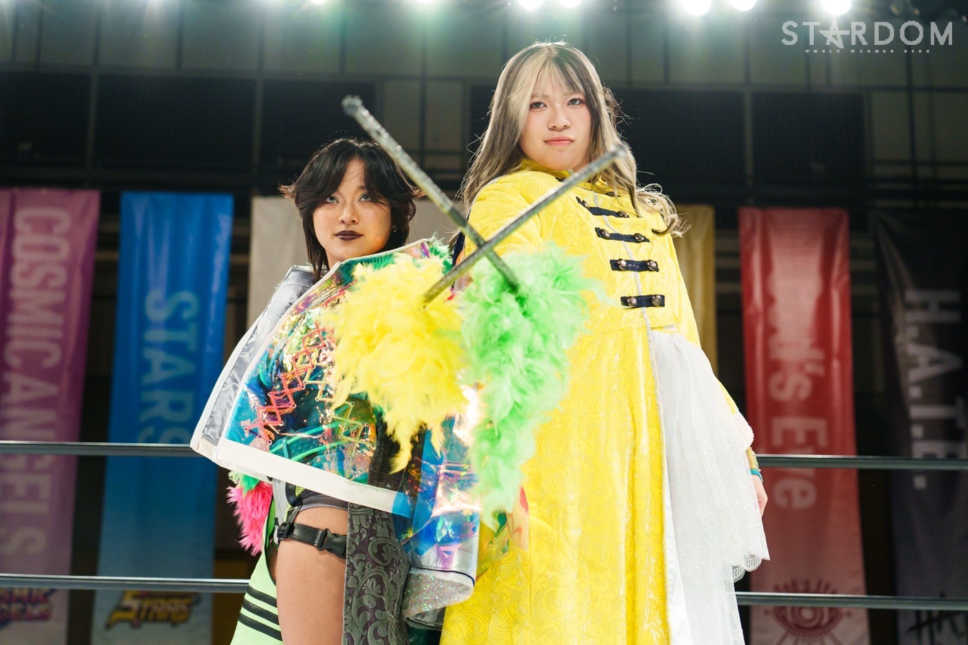 STARDOM Goddesses of Stardom Tag League Finals: A Night of Triumphs and ...